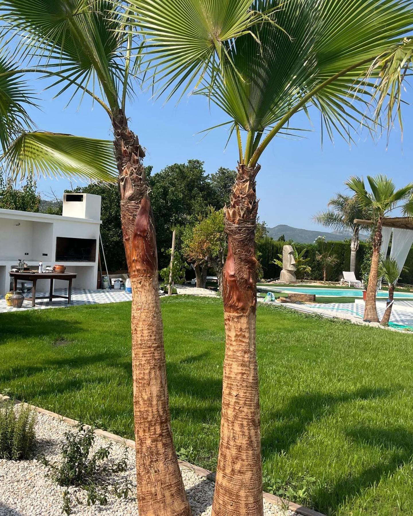 Casanoa Luxury Villa Bed And Breakfast خافييا المظهر الخارجي الصورة